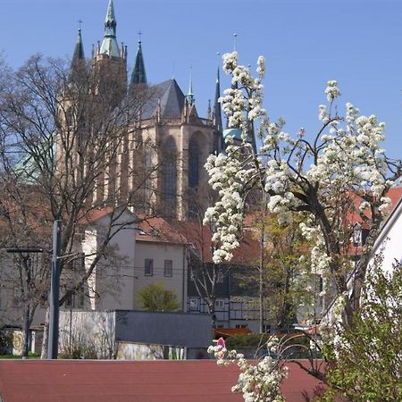 Hotelpension Am Dom Эрфурт Экстерьер фото