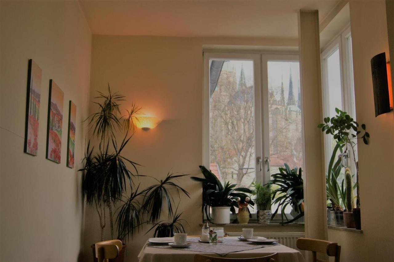 Hotelpension Am Dom Эрфурт Экстерьер фото